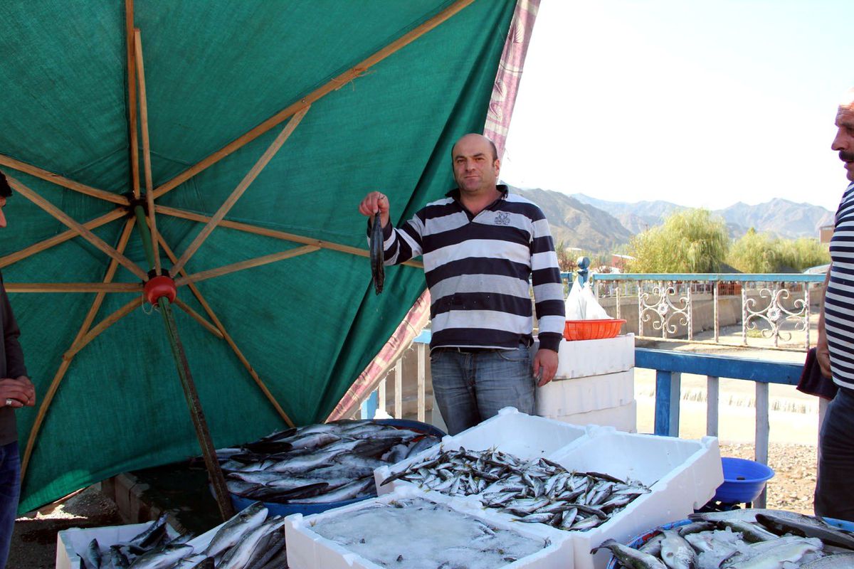 Balıklar Tezgâhlardaki Yerini Aldı