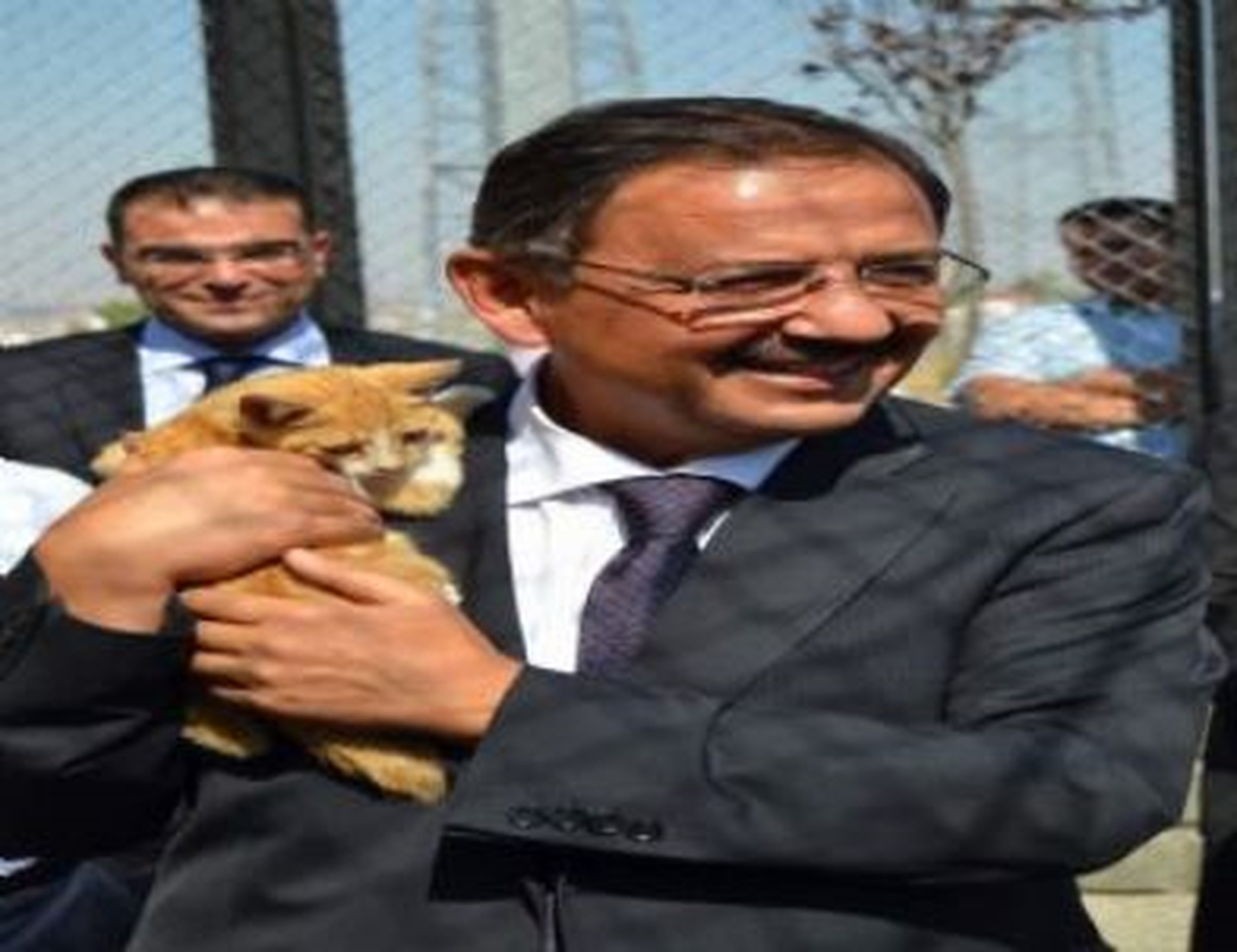 Belediye Başkanı Kedi Bakım Evini Ziyaret Etti