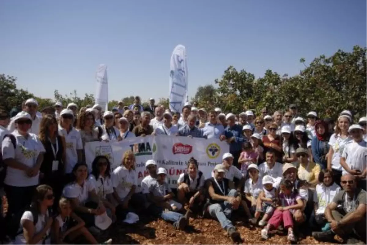 "Fıstığımız Bol Olsun" Projesi