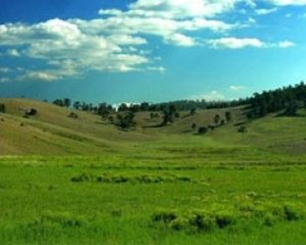 Türkiye\'nin Meraları Bir "Tık" Uzaklığında