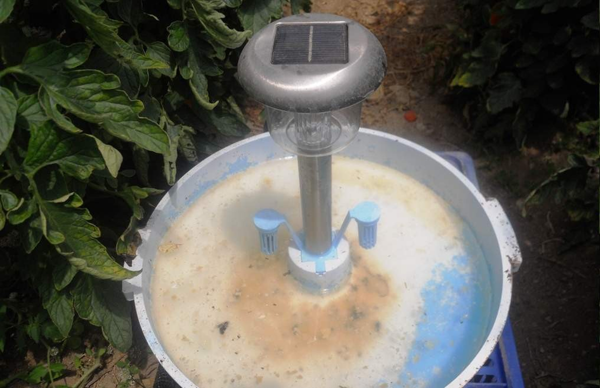 Dalaman\'da Örtü Altı ve Narenciye Üreticisine Destek.