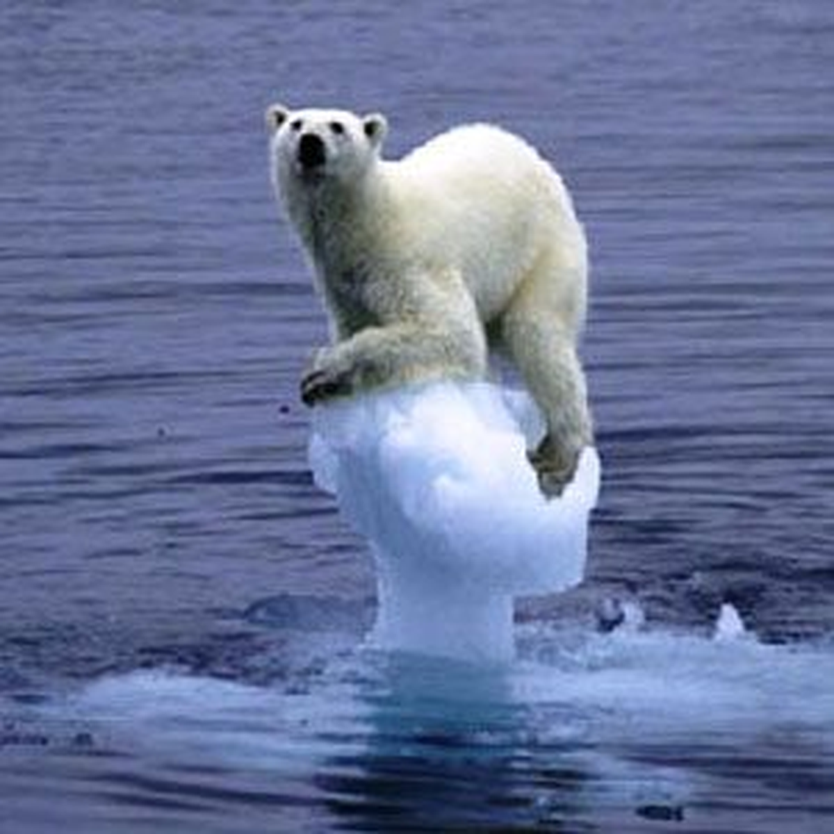 İklim Değişikliği İçin Eğitim Seferberliği Başlıyor
