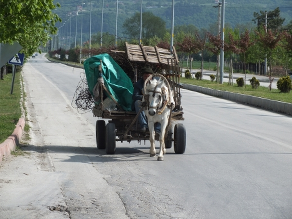 Polisten At Arabası Uyarısı