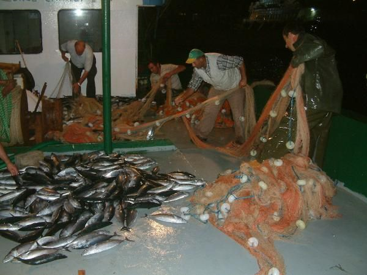 Didim\'de Balıkçılar Sezondan Memnun