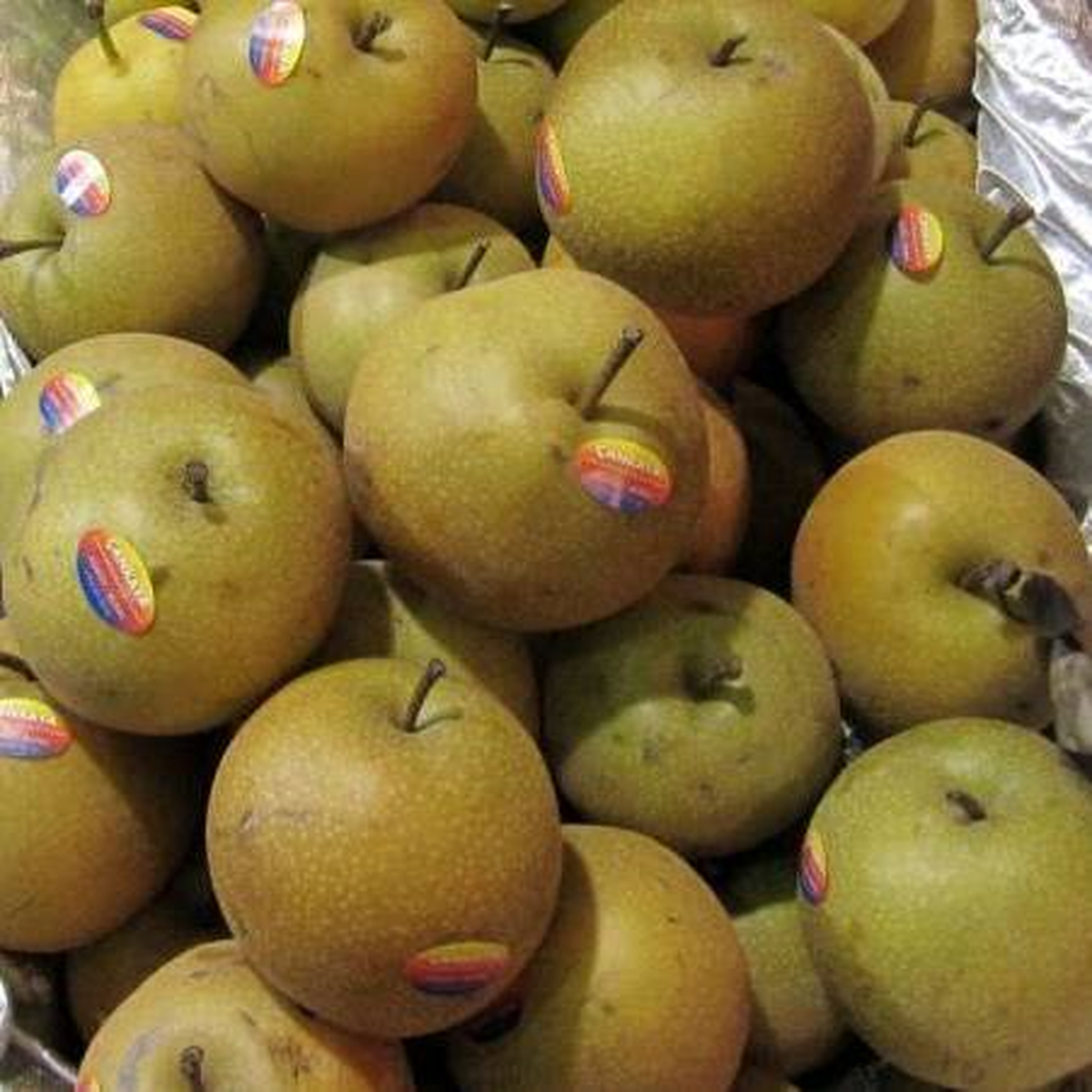 Havsa\'da "Naşhi" Üretimi