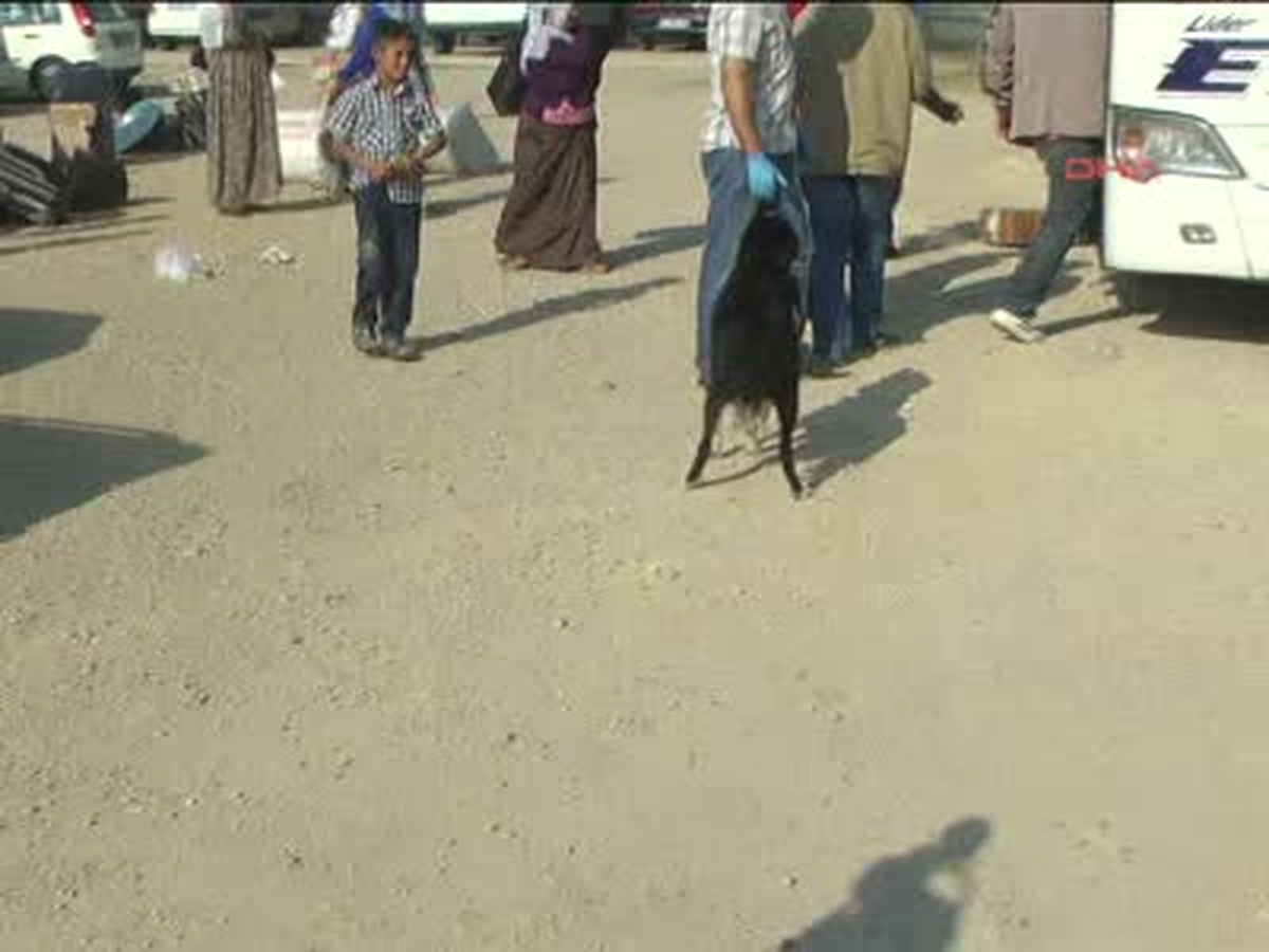 Otobüsteki Kadın Yolcunun Çantasından 3 Kilo Eroin Çıktı