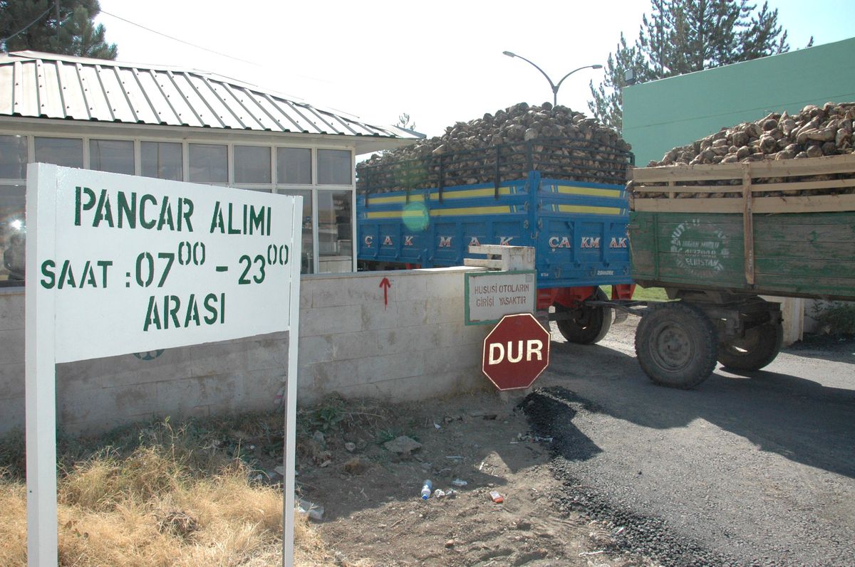 Şeker Fabrikasında Kuyruk Çilesi Sona Erdi