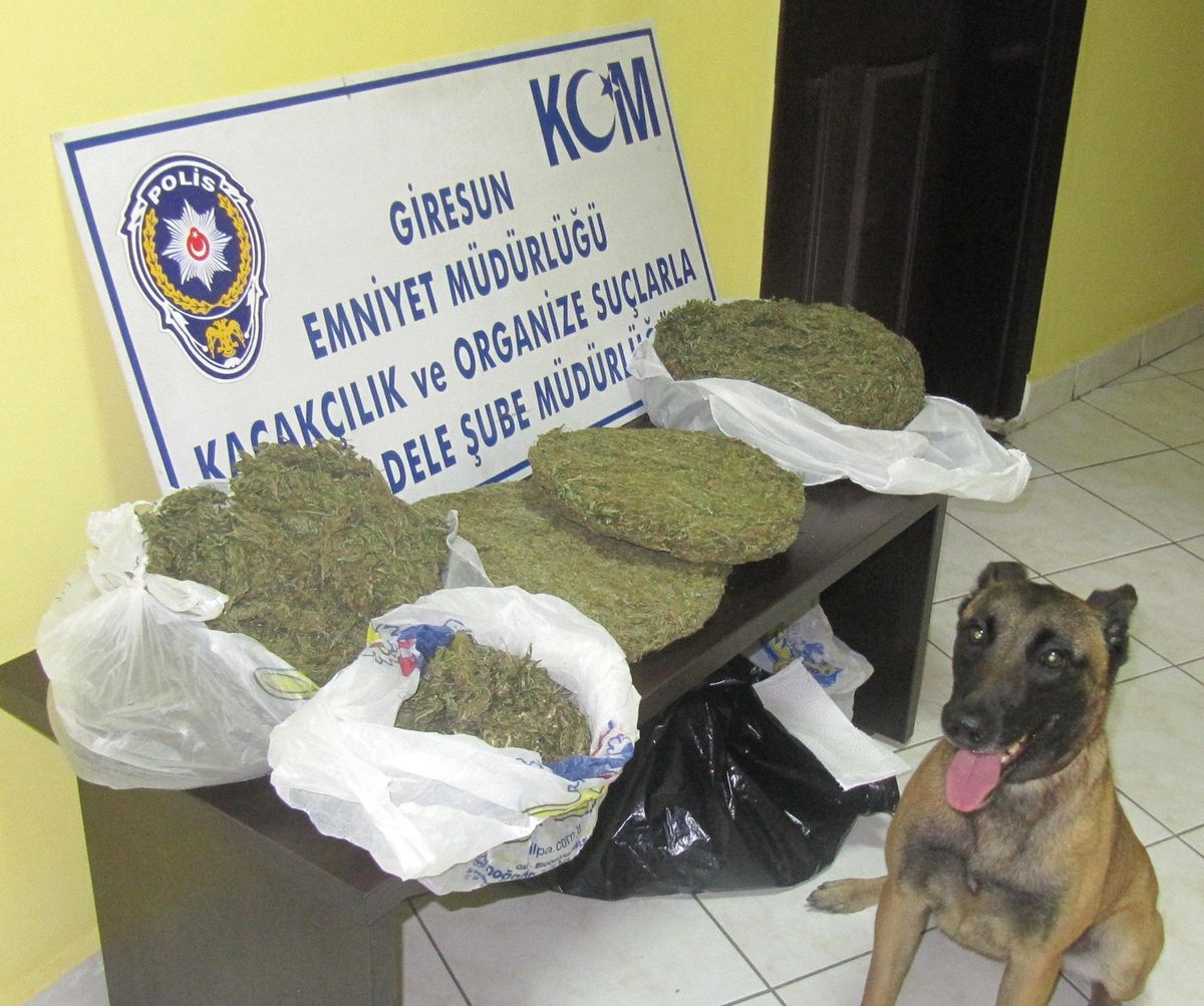 Giresun\'da 3 Kilogram Uyuşturucu Ele Geçirildi