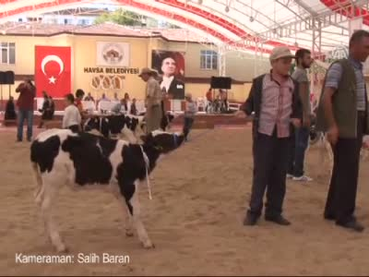 İnekler Podyuma Çıktı