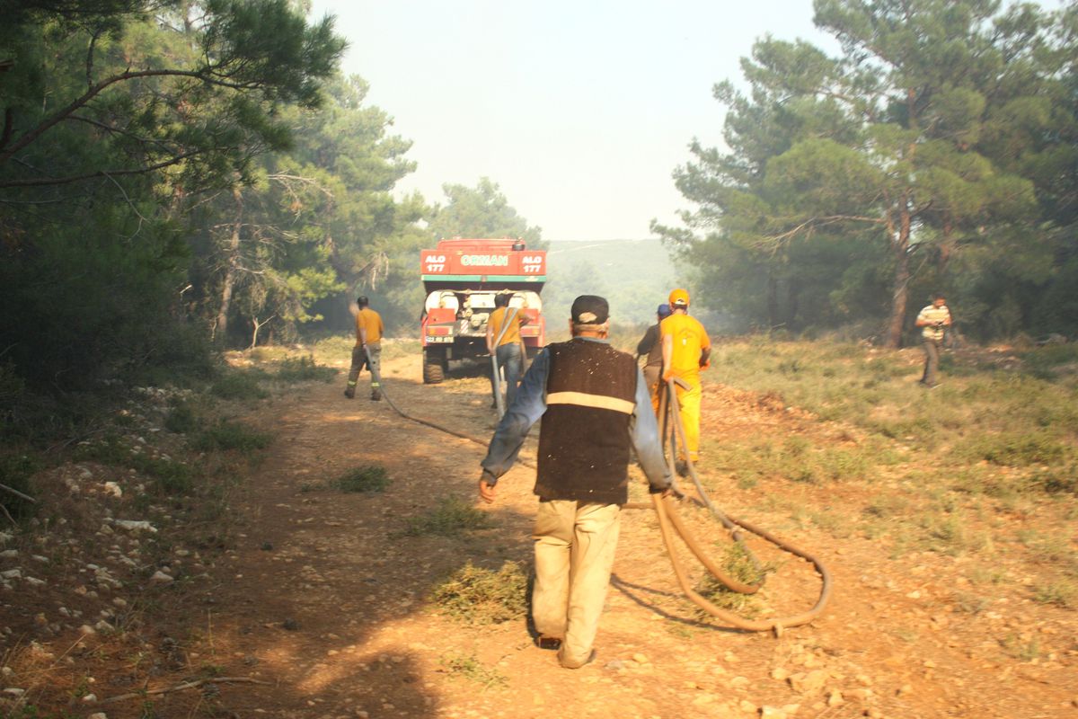 Keşan\'da Orman Yangını (2)