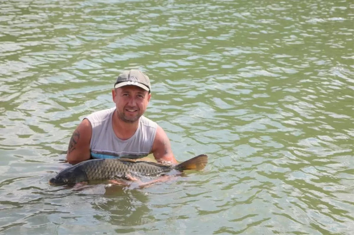 Uşak'taki Göletlerde Sazan Bereketi