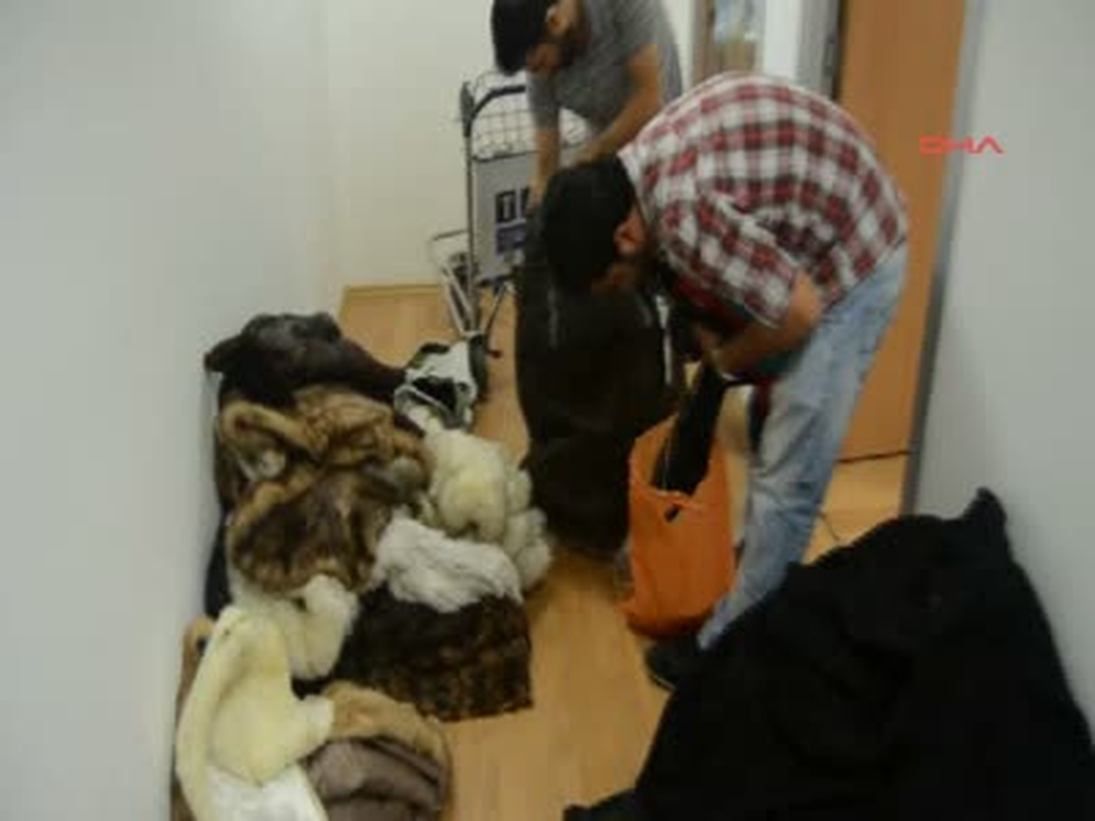 Kaçak Kürkleri Yurda Sokamadılar