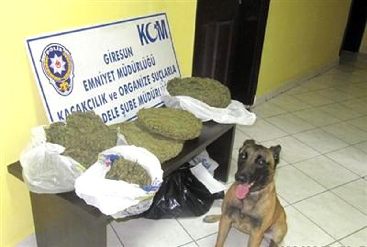 Yolcu Otobüsünde 3 Kilo 425 Gram Esrar Bulundu