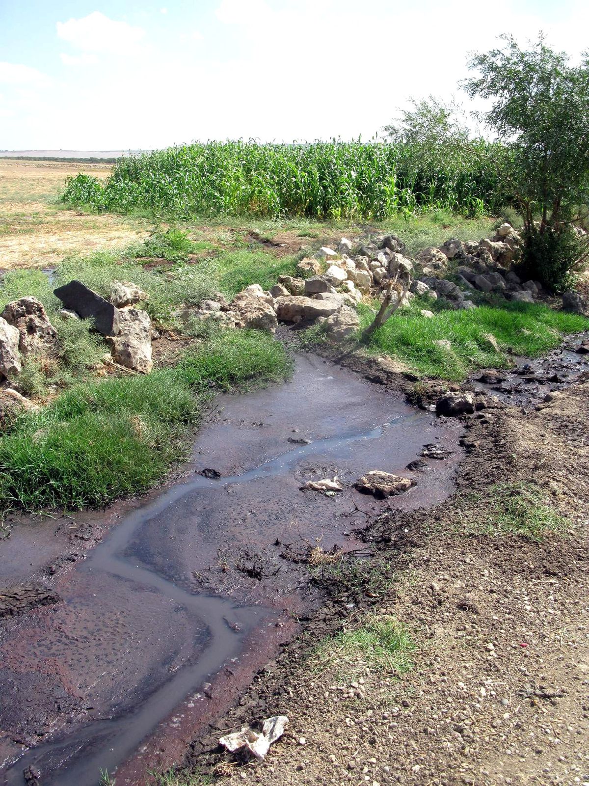 Akbudak Köyü'nde Kanalizasyon Atıkları Çevreyi Olumsuz Etkiliyor