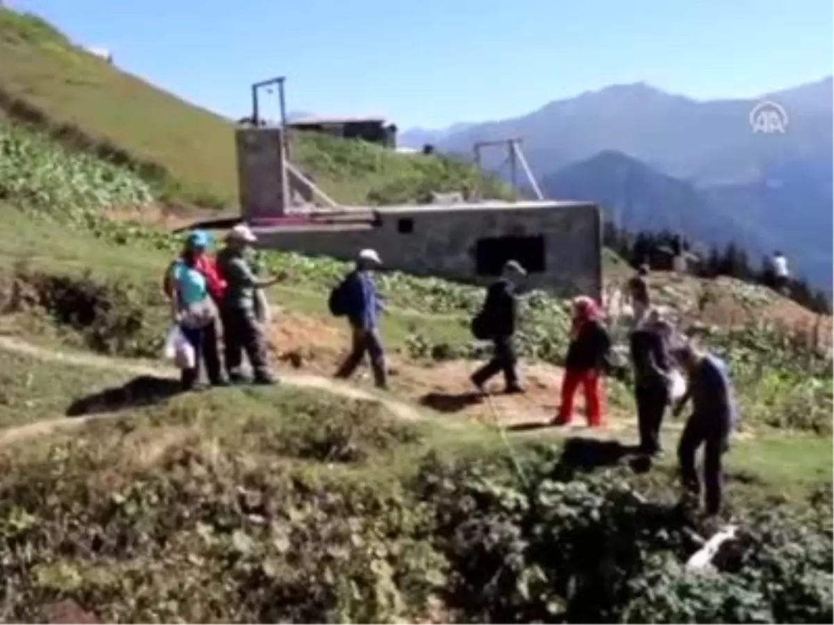 Doğa Tutkunlarının Gözdesi, Pokut Yaylası