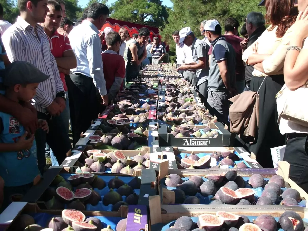 Osmangazi Belediyesi Siyah İnciri Dünyaya Tanıtmakta Kararlı