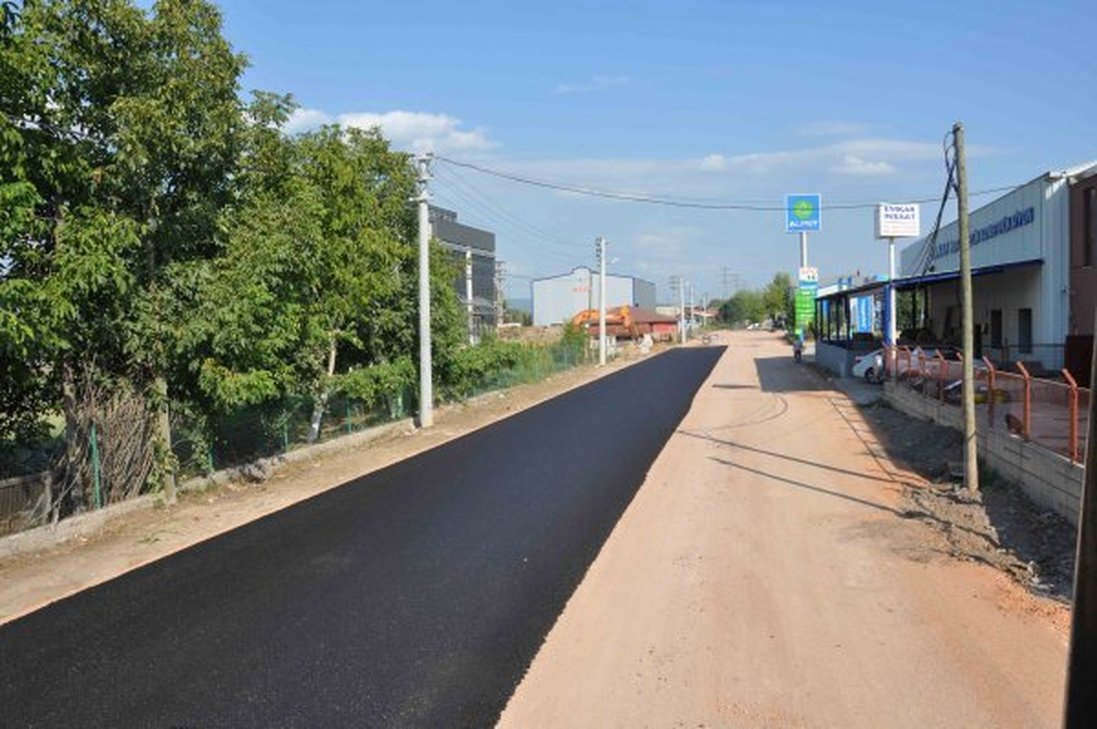 Üniversite Yerleşkesinin Yolu Asfaltlandı