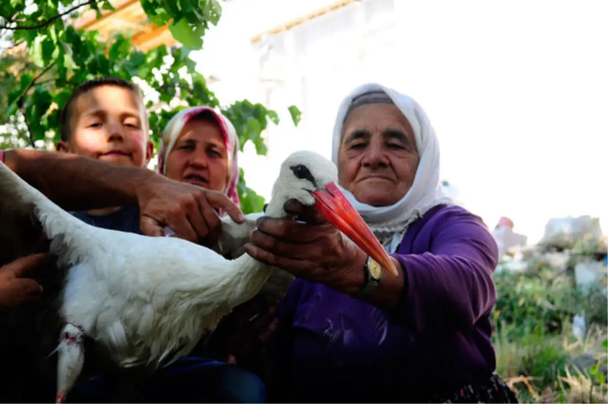 Yaralı Leyleğe Köyüler Sahip Çıktı