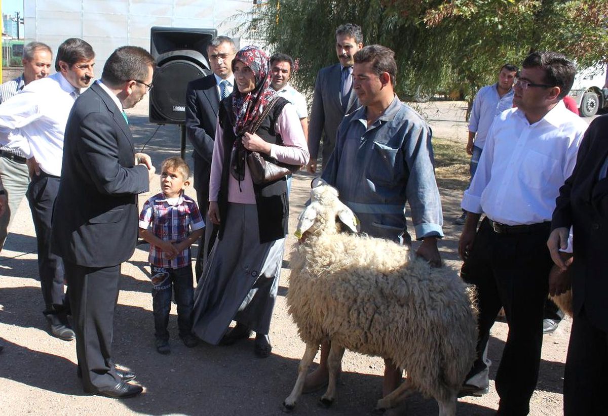 Aksaray\'da Küçükbaş Hayvan Dağıtımı