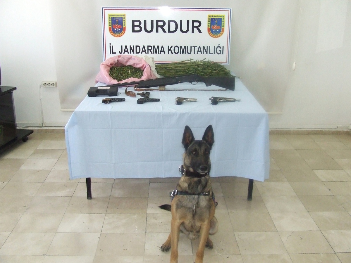 Jandarmadan Uyuşturucu Tacirlerine Yönelik Operasyon