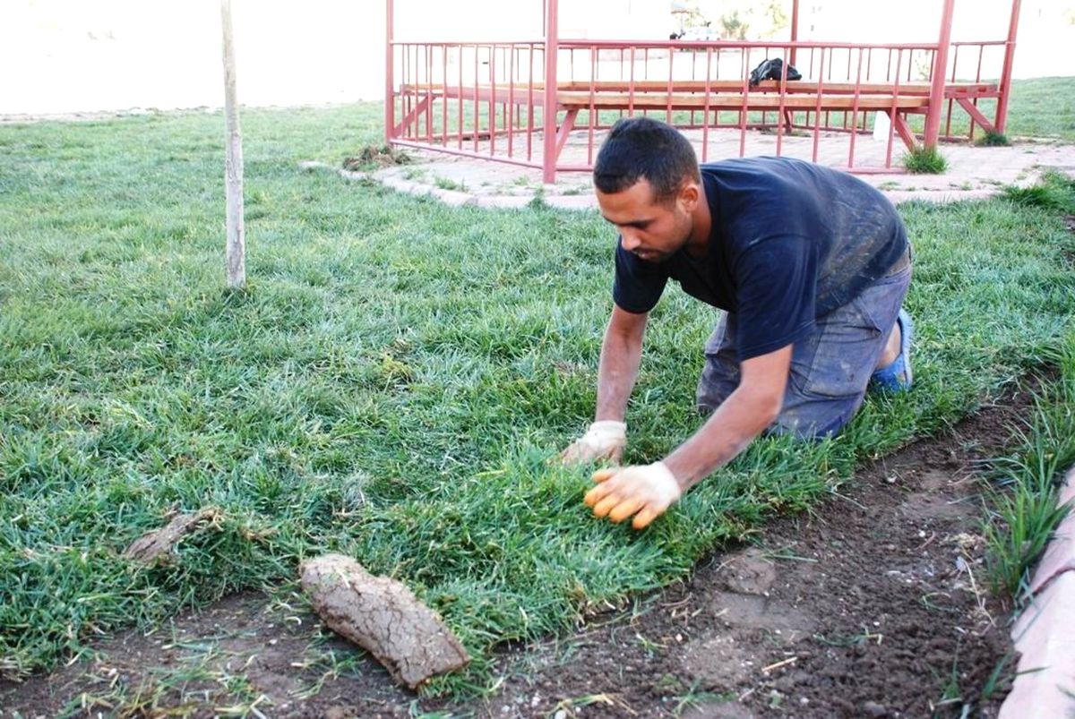 Melikgazi Refüjleri Yemyeşil