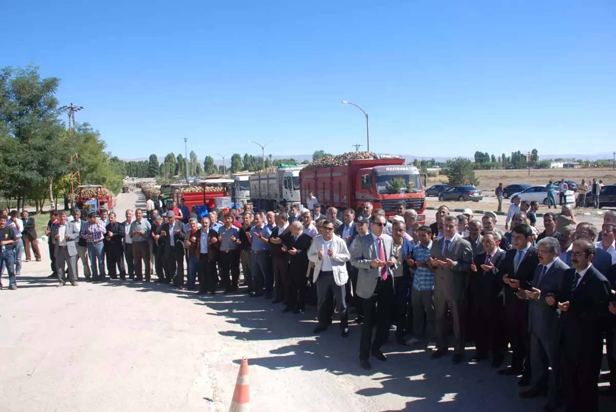 Muş Şeker Fabrikası Pancarı Alımına Başladı