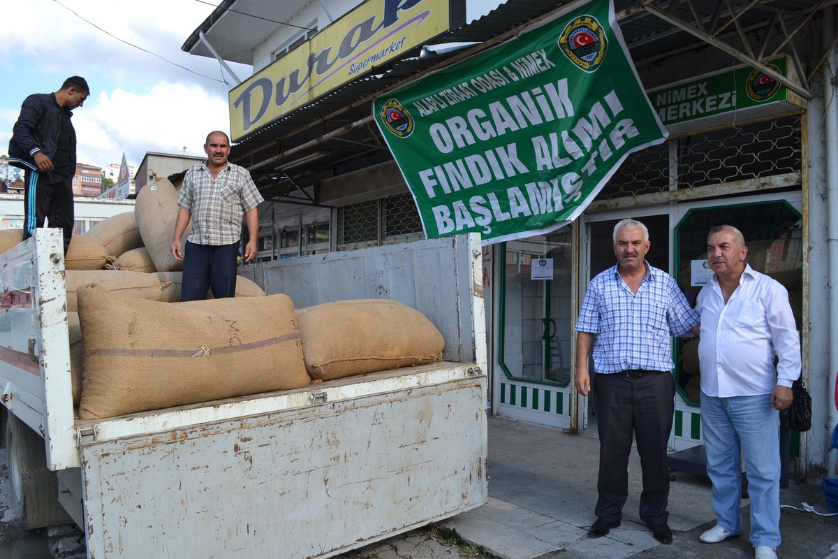 Organik Fındık Hedefi 6 Bin Ton