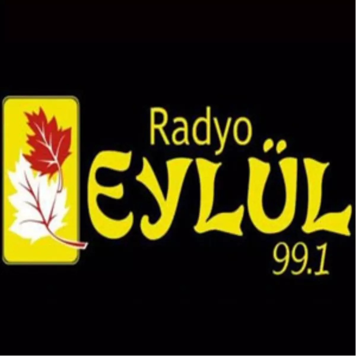 Sakarya\'da Radyo Eylül\'ün Vericisi Çalındı