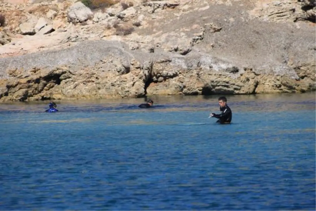 Koylarda Deniz ve Kıyı Temizliği