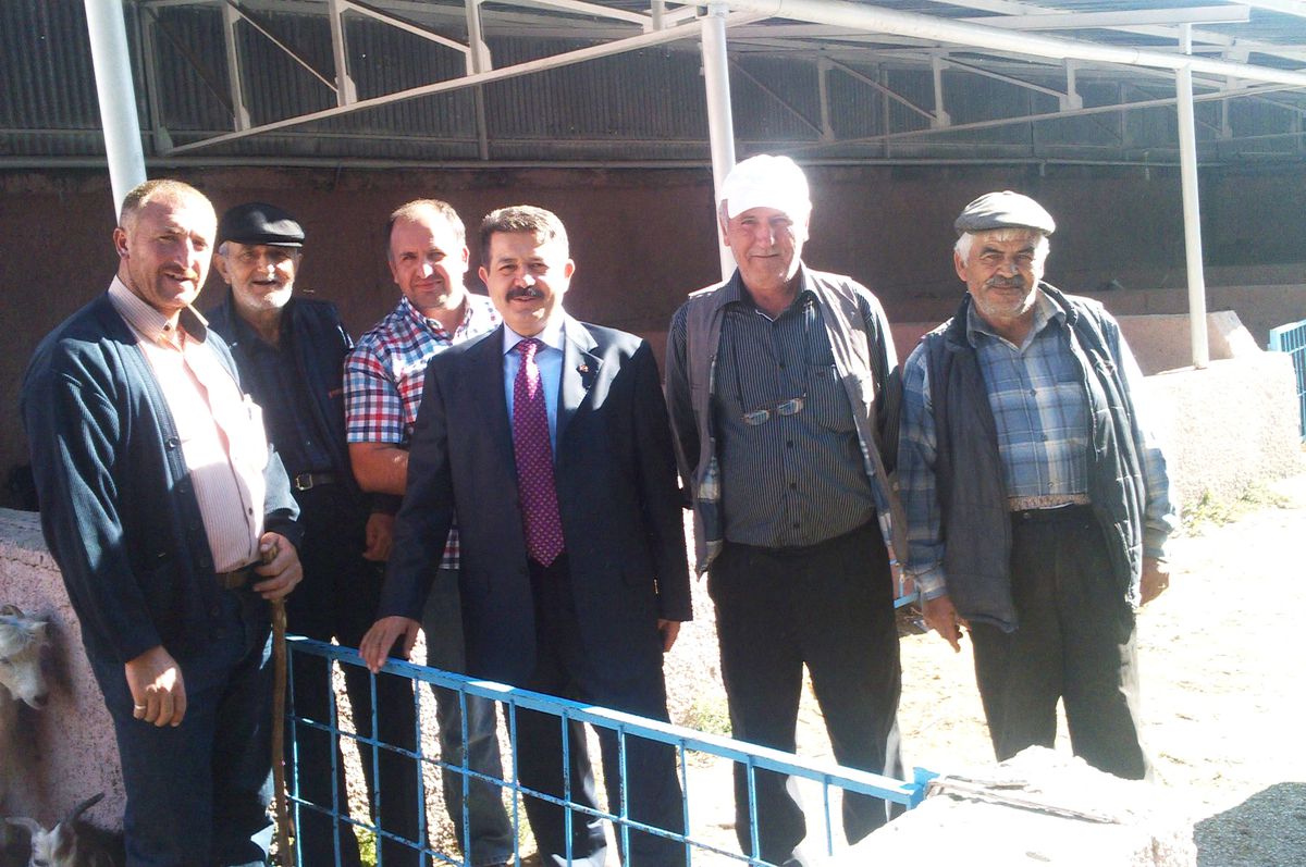 Başkan Berberoğlu Hayvan Pazarını İnceledi
