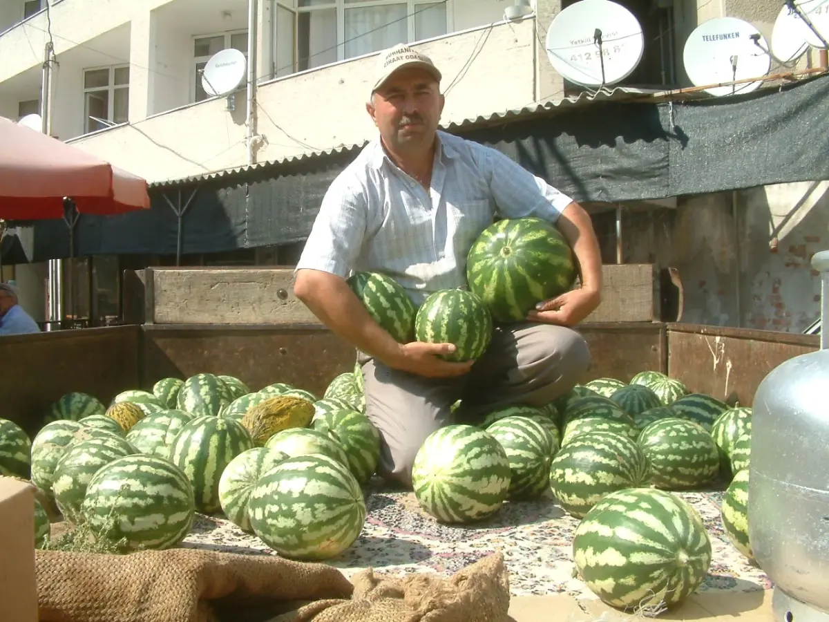 Burhaniye de Güz Karpuzu Kazandırdı