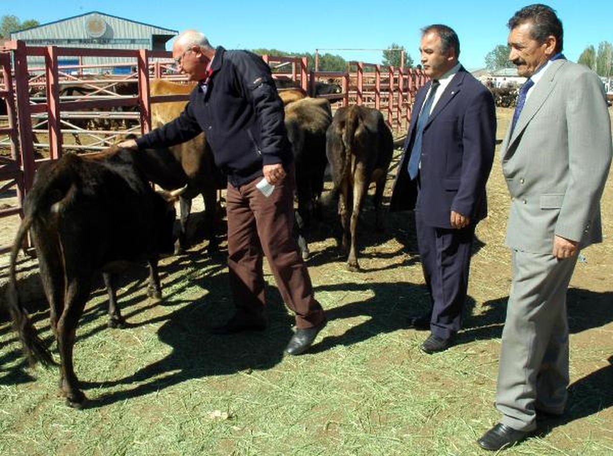 CHP\'li Vekil, Hayvan Pazarında Besicinin Derdini Dinledi