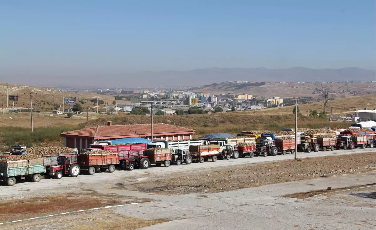 Çorum Şeker Fabrikası Pancar Üretim Sezonunu Açtı