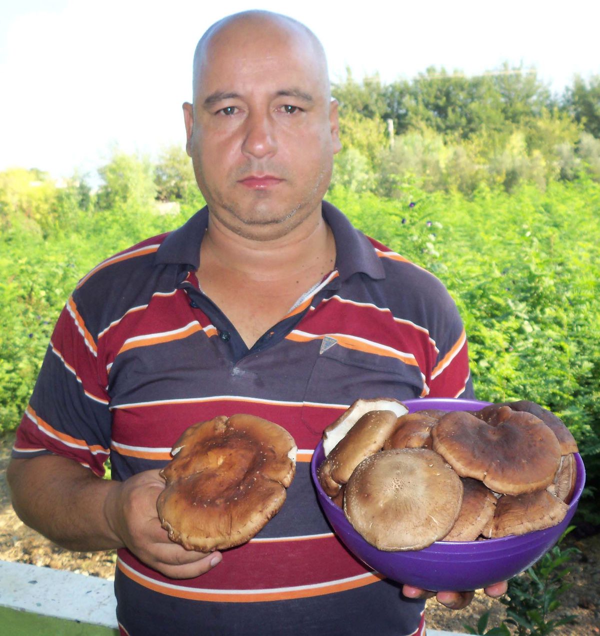 Düziçi\'nde \'Shiitake\' Yetiştirdi