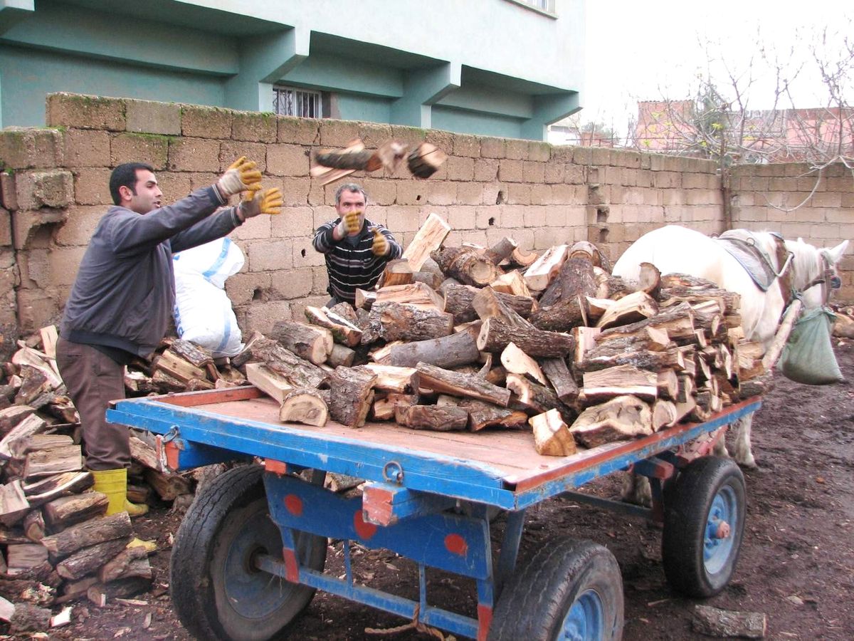 Odun ve Kömür Sezonu Açıldı