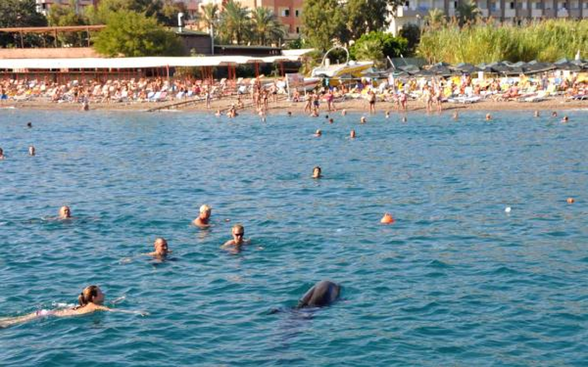 Tatilcilere \'Yunus\' Sürprizi