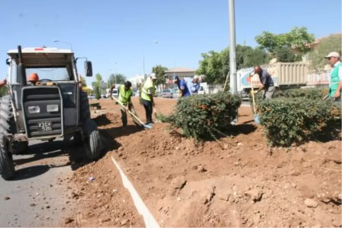 "Yeşiller İçinde Bir Çevre Yolu"