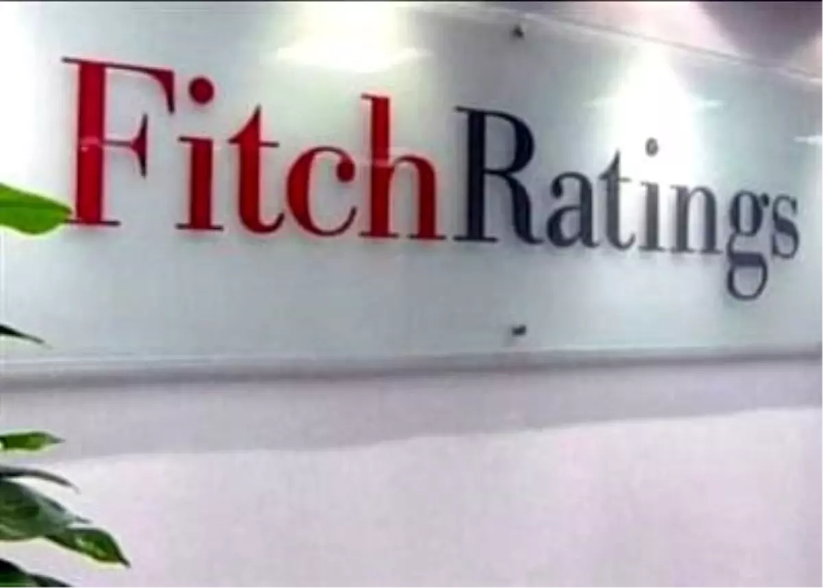 Fitch\'ten Vakıfbank ve Halkbank Yorumu