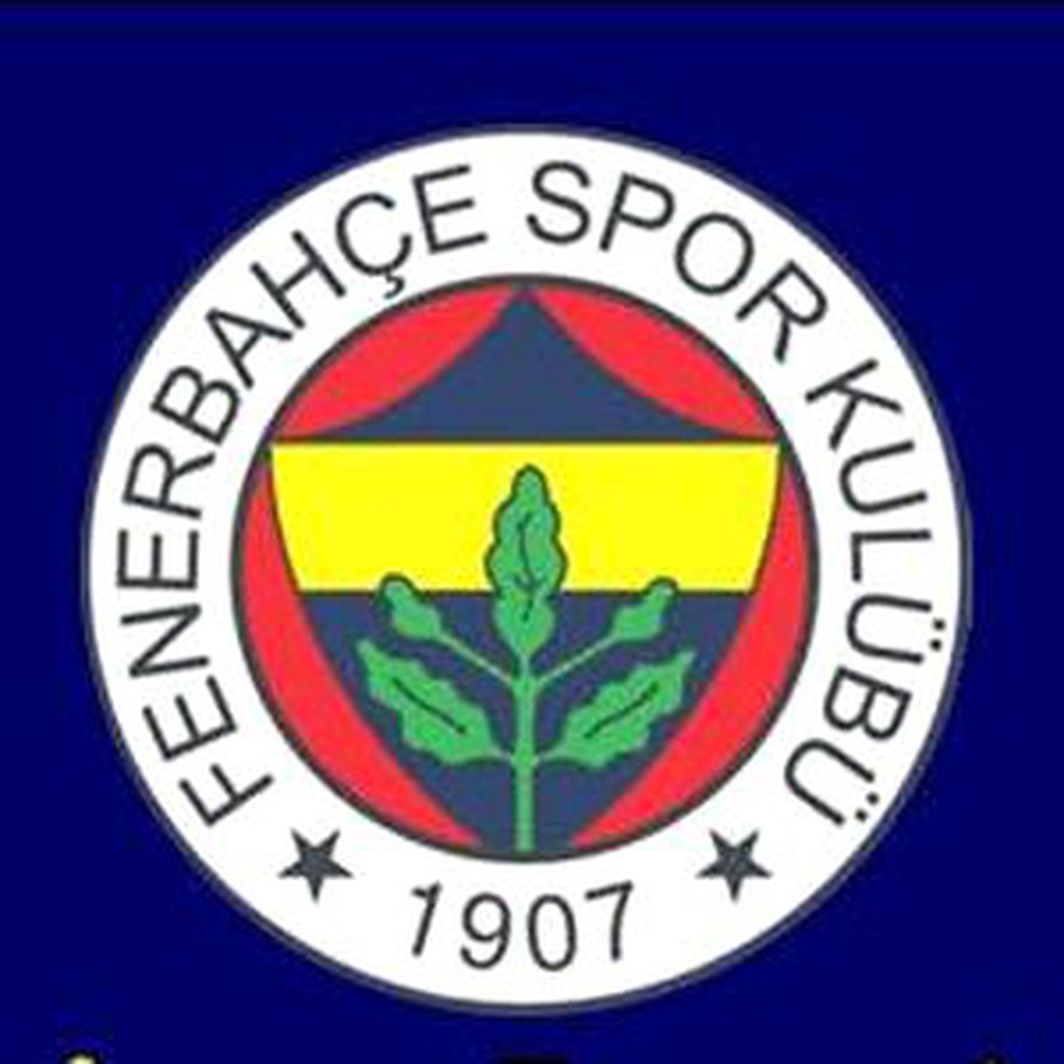 Genç Fenerbahçeliler\'den Ayrılık Kararı