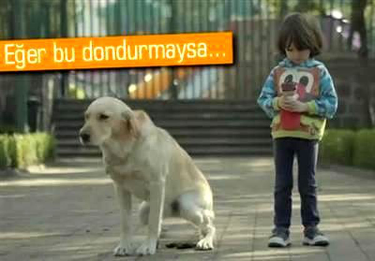 Kablosuz Internet Ödemesini Köpek Kakasıyla Yapabilirsiniz