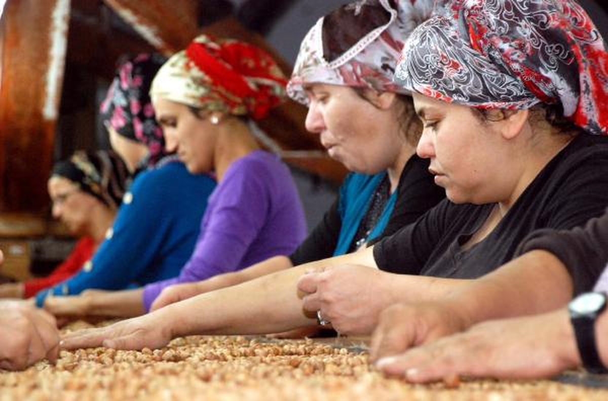 Kadınlar Fındık Ayırarak Para Kazanıyor