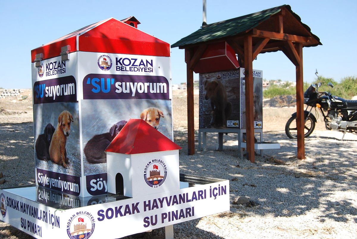 Sokak Hayvanlarına Beslenme Ünitesi