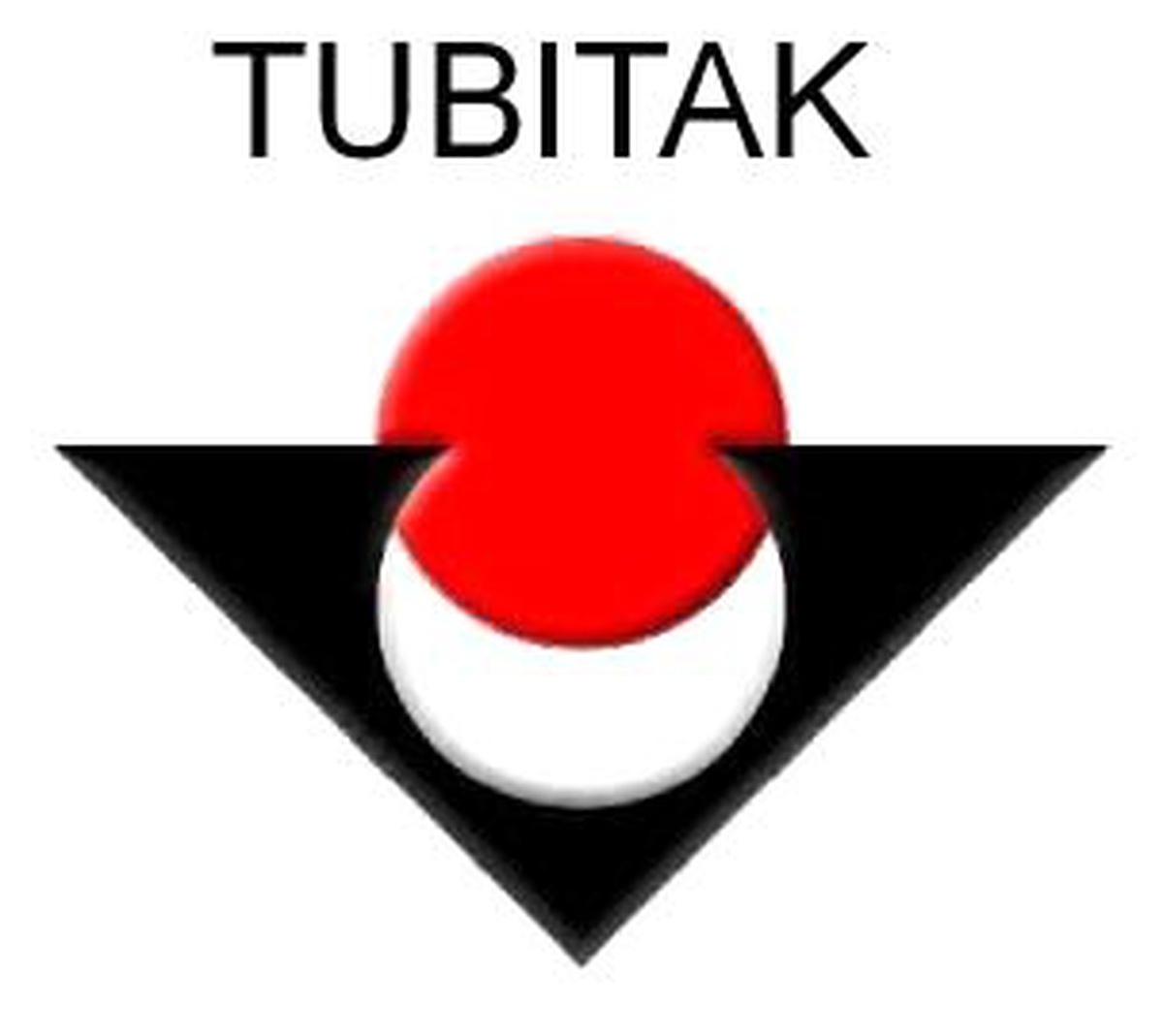 Tübitak, Olimpiyatlara Katılacak "Süper Beyinleri" Eğitti
