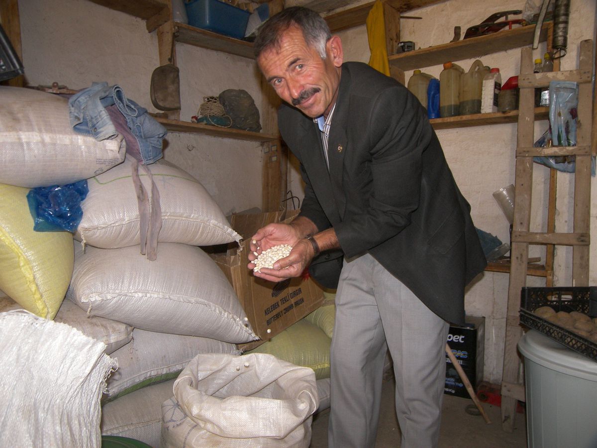 Yanıktaş Fasülyesi Tanıtılacak