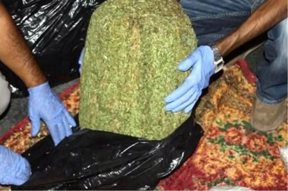 Aydın\'da Uyuşturucu Operasyonu