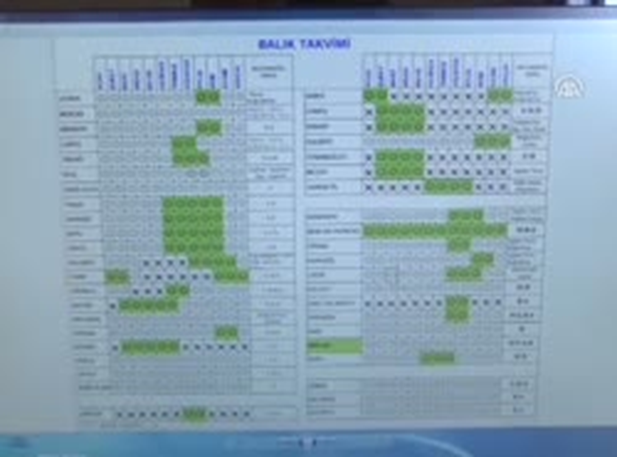 "Balık Takvimi"