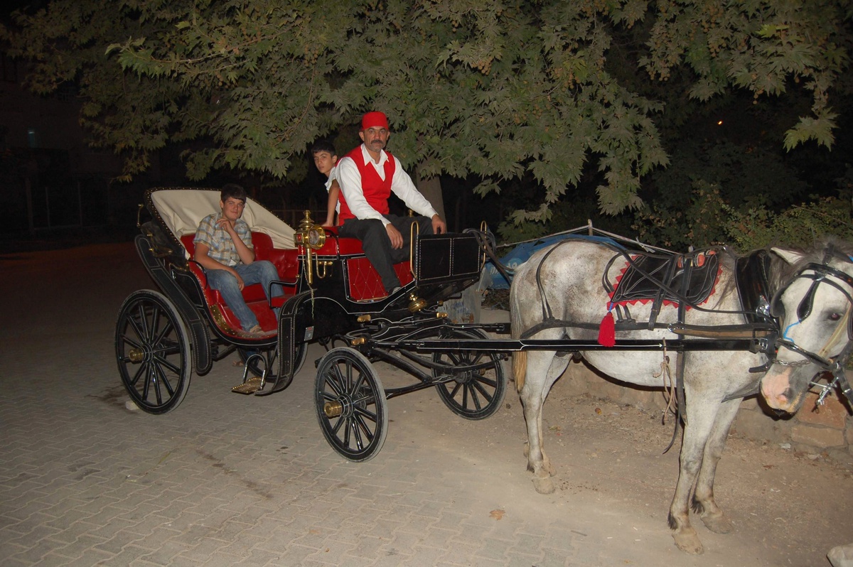 Gölbaşında Fayton Turları Halkın İlgisini Çekiyor
