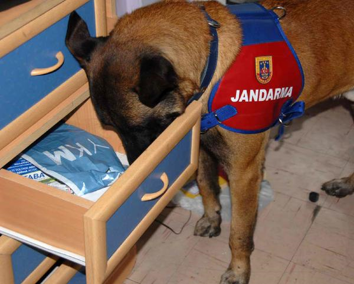 Jandarmadan Uyusturucu Operasyonu