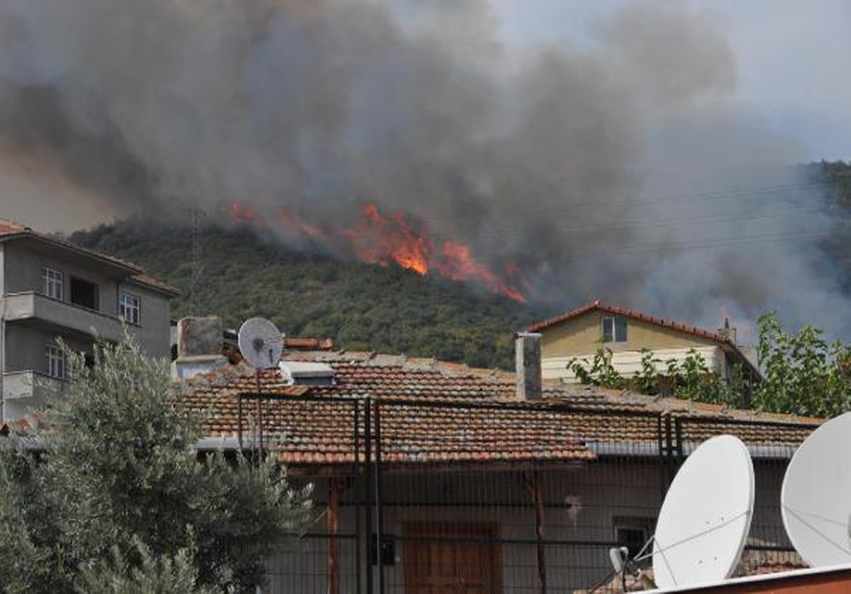 Tem Otoyolu Yakınında Korkutan Yangın