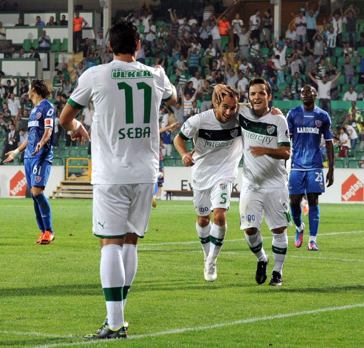 Timsah Çıkış Arıyor